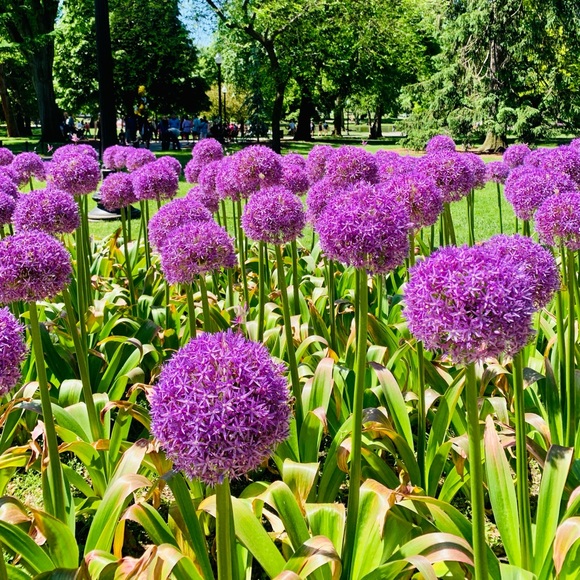 Meet your Posher, Mari - Picture 14 of 16